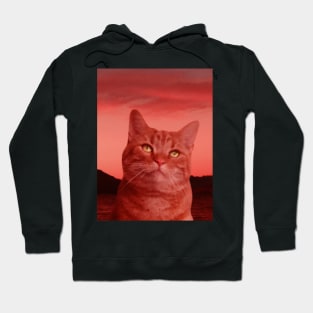 dark red moody tabby cat painting Hoodie